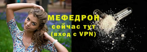 индика Аркадак