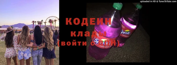 хмурый Болохово