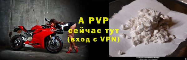 хмурый Болохово
