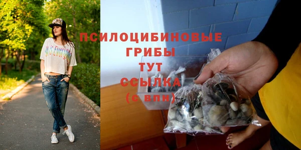 герыч Болотное