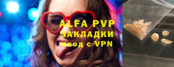 индика Аркадак