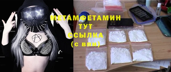 индика Аркадак