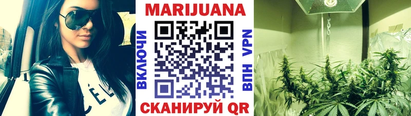 купить  цена  Красный Кут  Каннабис сатива 